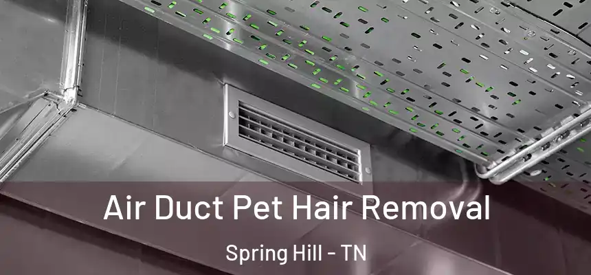  Air Duct Pet Hair Removal Spring Hill - TN