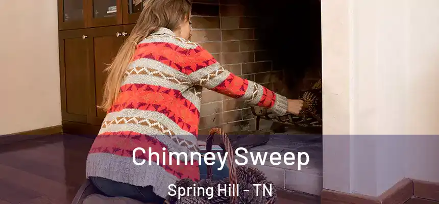  Chimney Sweep Spring Hill - TN