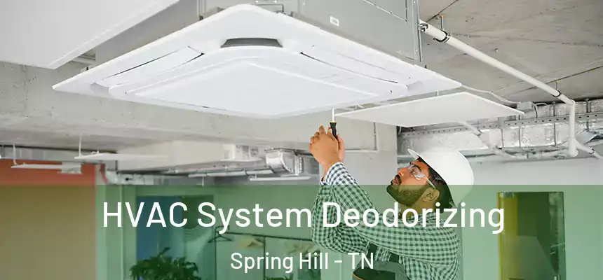  HVAC System Deodorizing Spring Hill - TN