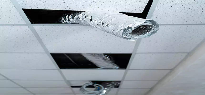 Our Air Duct Pet Hair Removal Services in Spring Hill, TN