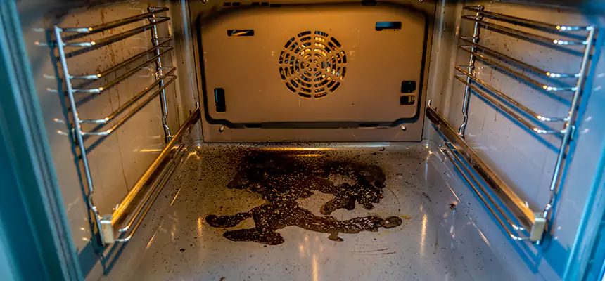 Our Dryer Vent Mold Cleaning Services in Spring Hill, TN