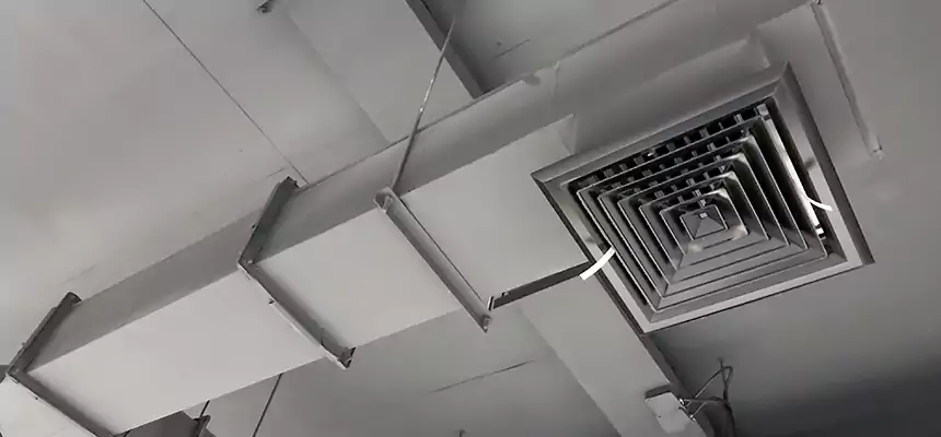 Our Rodent Droppings In Vents Services in Spring Hill, TN