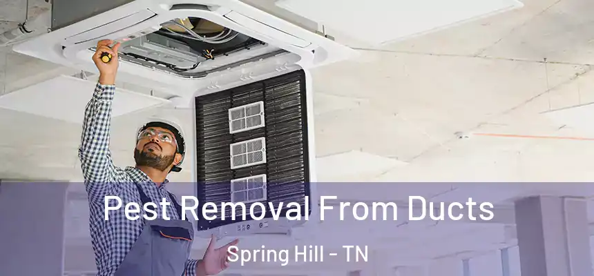  Pest Removal From Ducts Spring Hill - TN