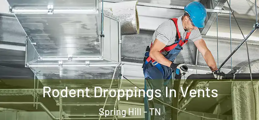  Rodent Droppings In Vents Spring Hill - TN