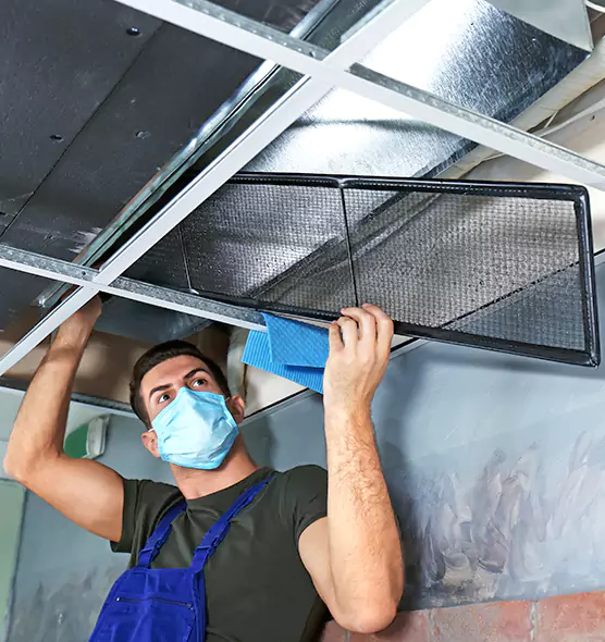 About Air Duct Bacteria Removal in Spring Hill