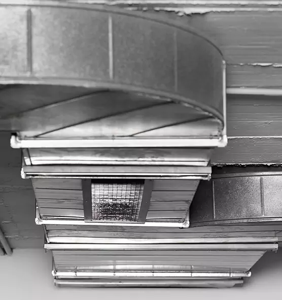 Professional Air Duct Pet Hair Removal in Spring Hill, TN