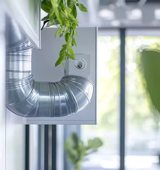 Professional Eco-Safe Dryer Vent Cleaning in Spring Hill, TN