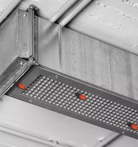 Affordable Insect Removal from Air Ducts in Spring Hill, TN