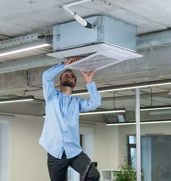 Advanced Rodent Droppings In Vents in Spring Hill, TN