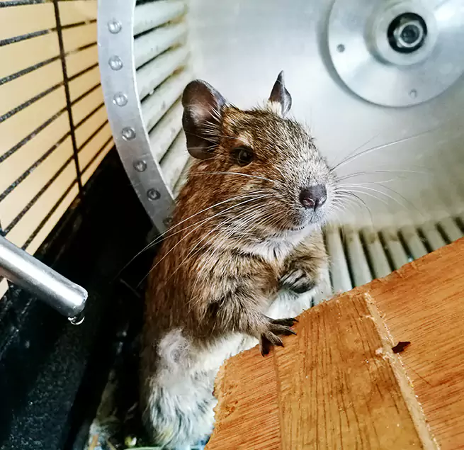 Why Homeowners & Businesses Trust Us Spring Hill, TN