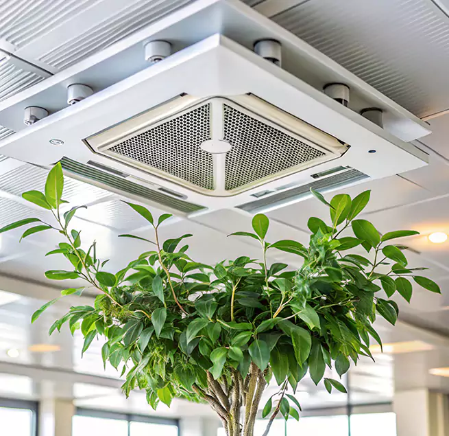 Why Homeowners & Businesses Trust Us in Spring Hill, TN?